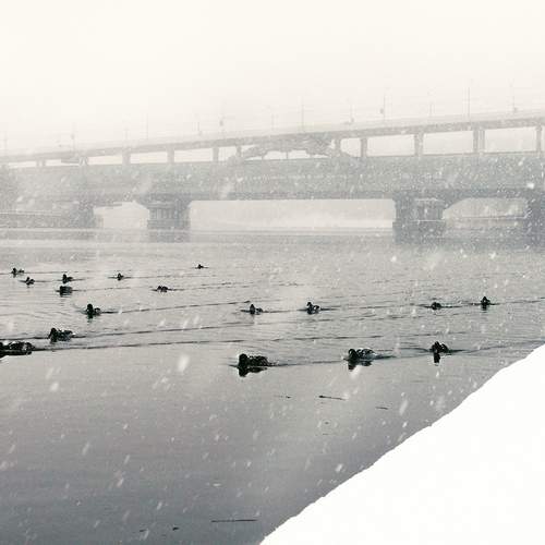 Photo #13739583