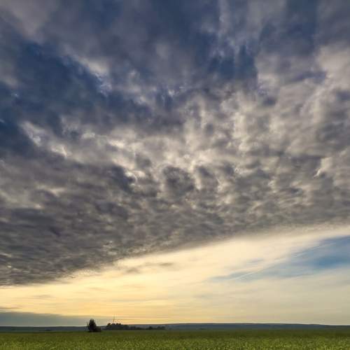 Photo #13739587