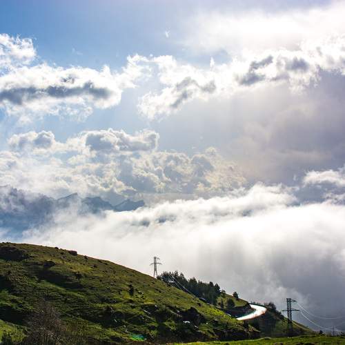 Photo #13739607
