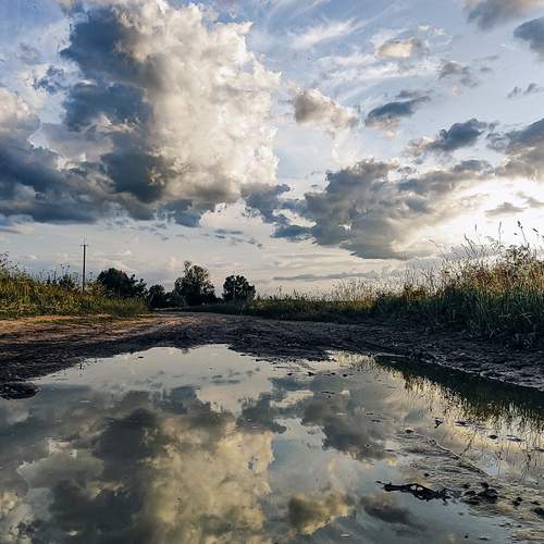 Photo #13739636
