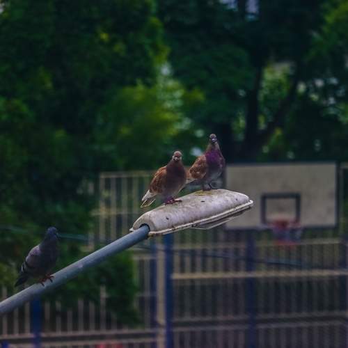 Photo #13739641