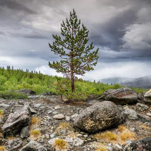 Photo #13739649