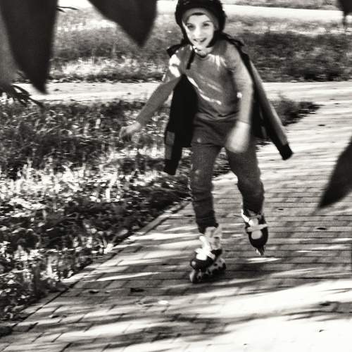Photo #13739655