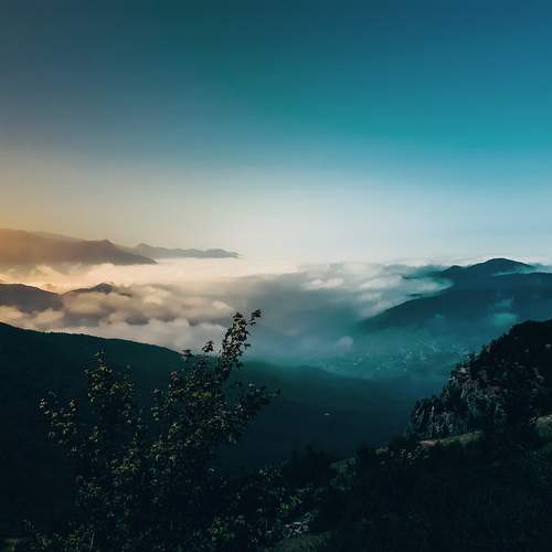 Photo #13739657