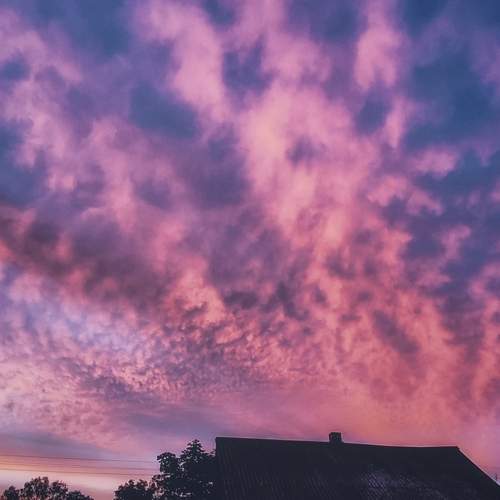 Photo #13739661