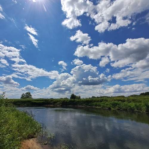 Photo #13739693