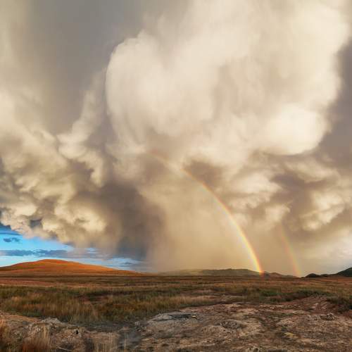Photo #13739723
