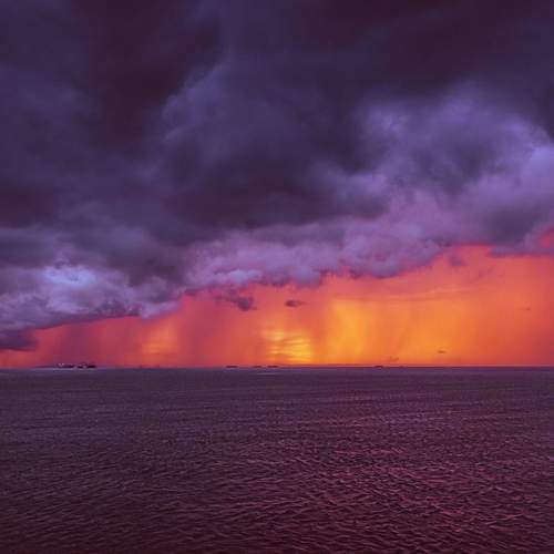Photo #13739755