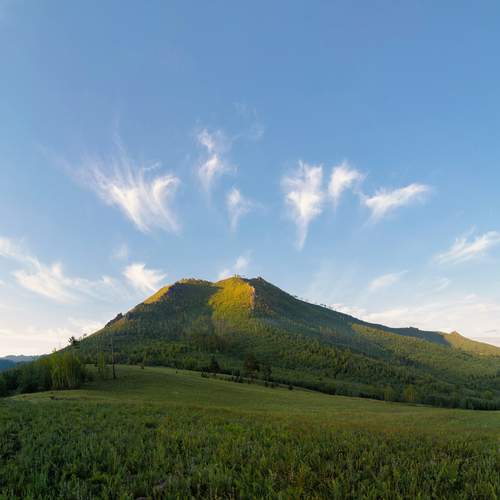 Photo #13739757