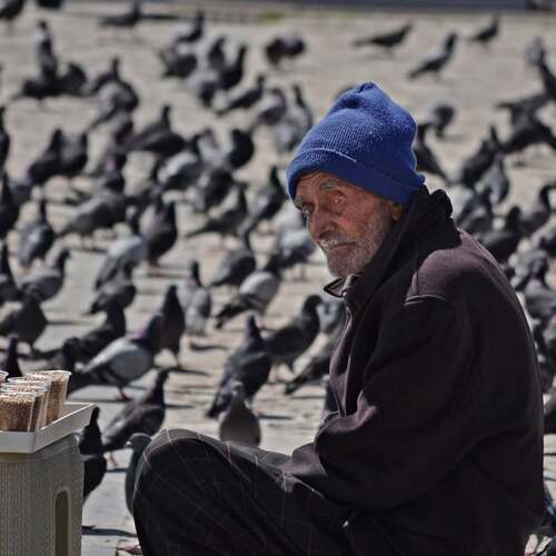 Photo #13739768