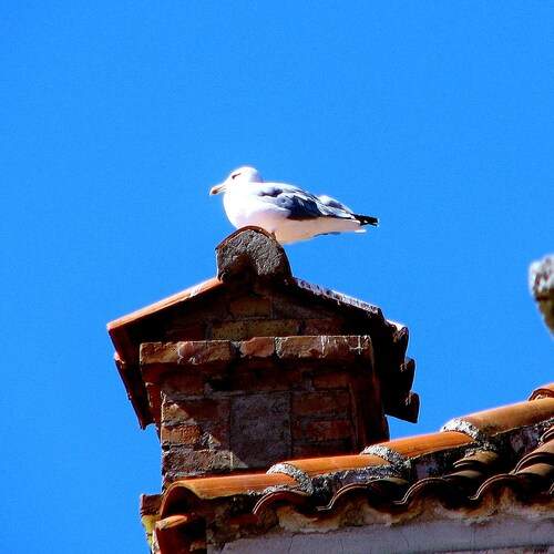 Photo #13739774