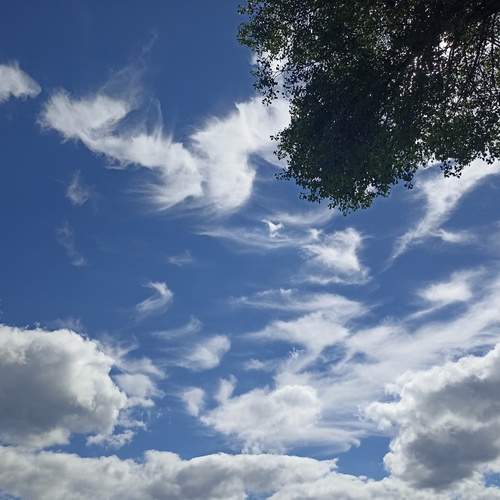 Photo #13739782