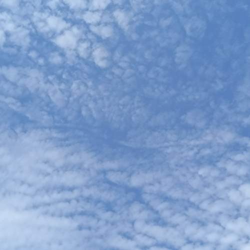 Photo #13739783