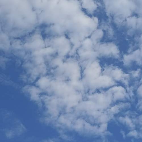 Photo #13739784