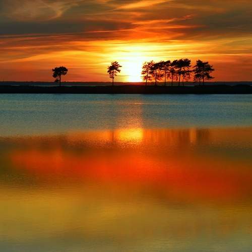 Photo #13739819