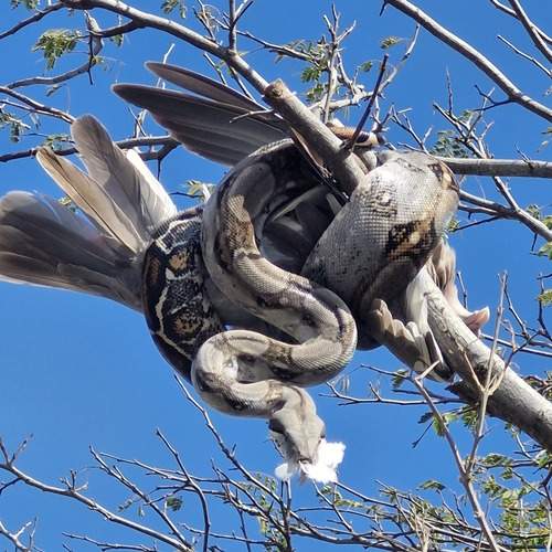 Photo #13739833