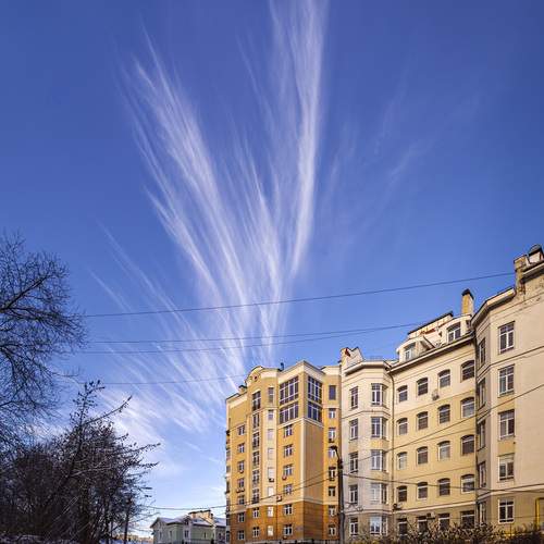 Photo #13739837