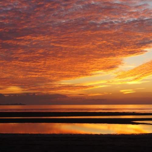 Photo #13739840