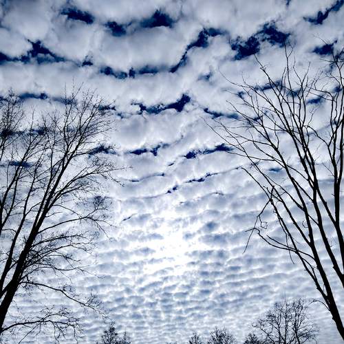 Photo #13739852
