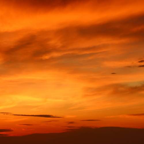 Photo #13739853