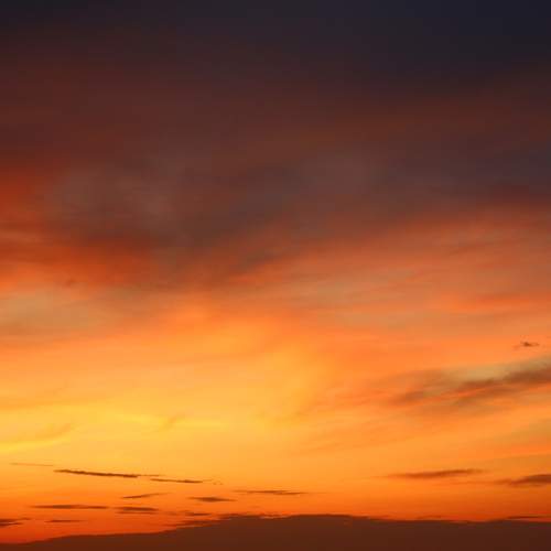 Photo #13739854