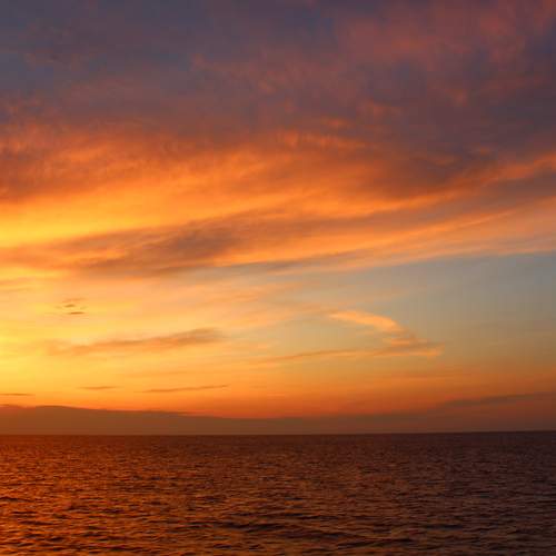 Photo #13739855