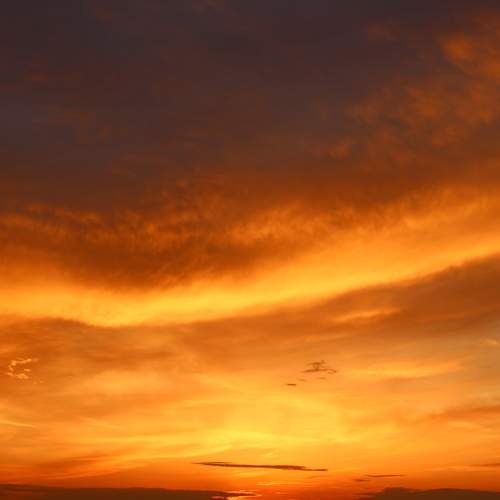 Photo #13739856