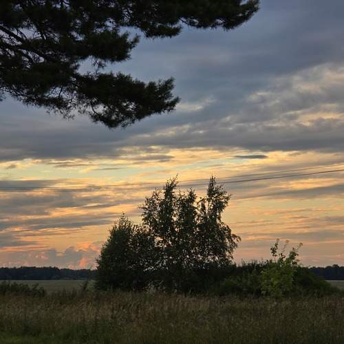 Photo #13739861