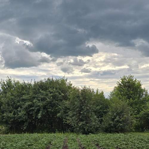 Photo #13739862