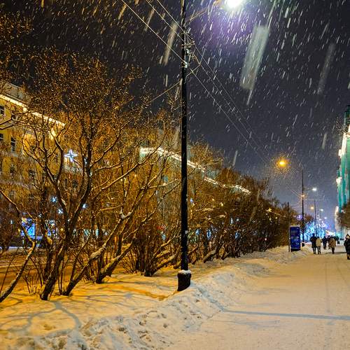 Photo #13739863