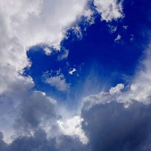 Photo #13739868