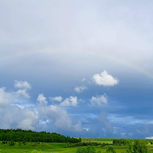 Photo #13739869