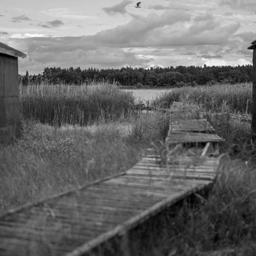 Photo #13739878