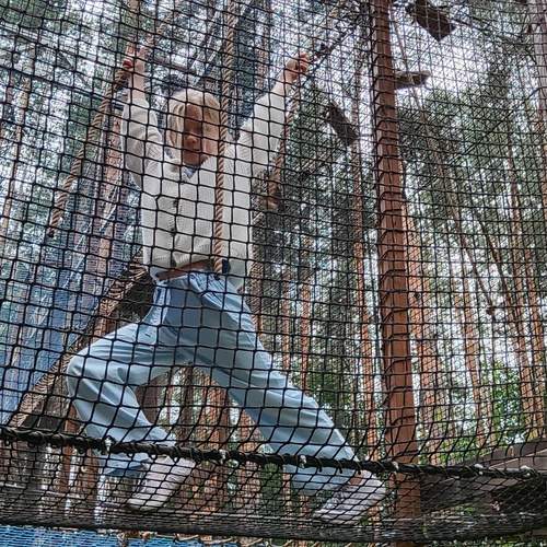 Photo #13739883