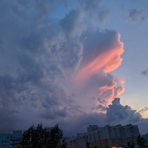 Photo #13739907