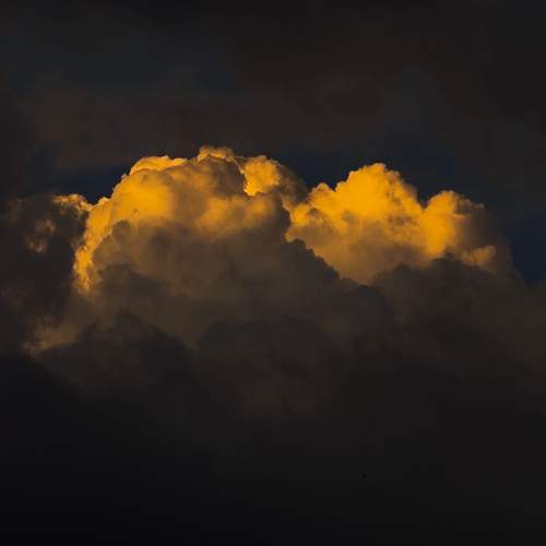 Photo #13739910