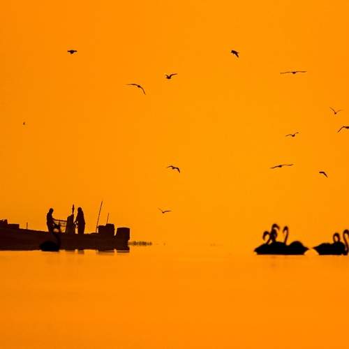 Vishal Parmar