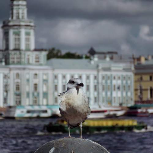 Photo #13739923