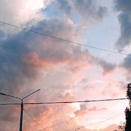 Photo #13739927