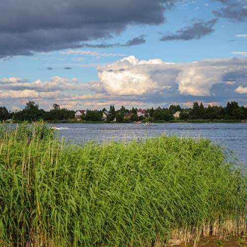 Photo #13739932