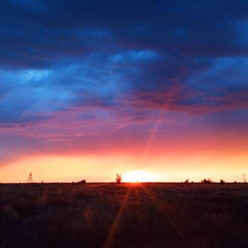 Photo #13739950