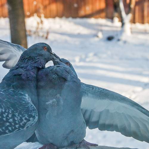Photo #13739951