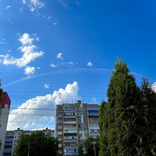 Photo #13739956
