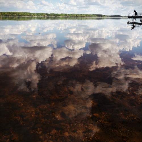 Photo #13739958