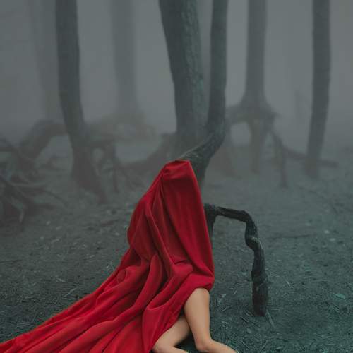 Photo #13739963