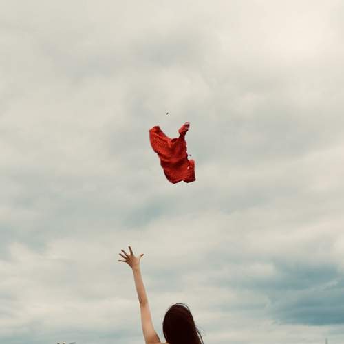 Photo #13739964