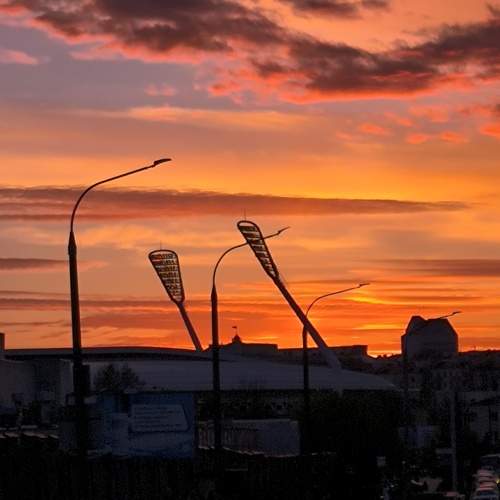 Photo #13739997