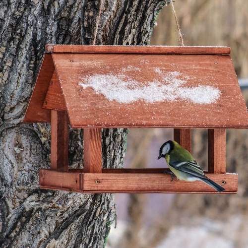 Photo #13739999