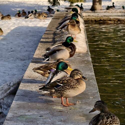 Photo #13740021