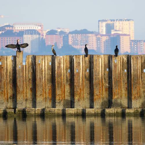 Photo #13740033